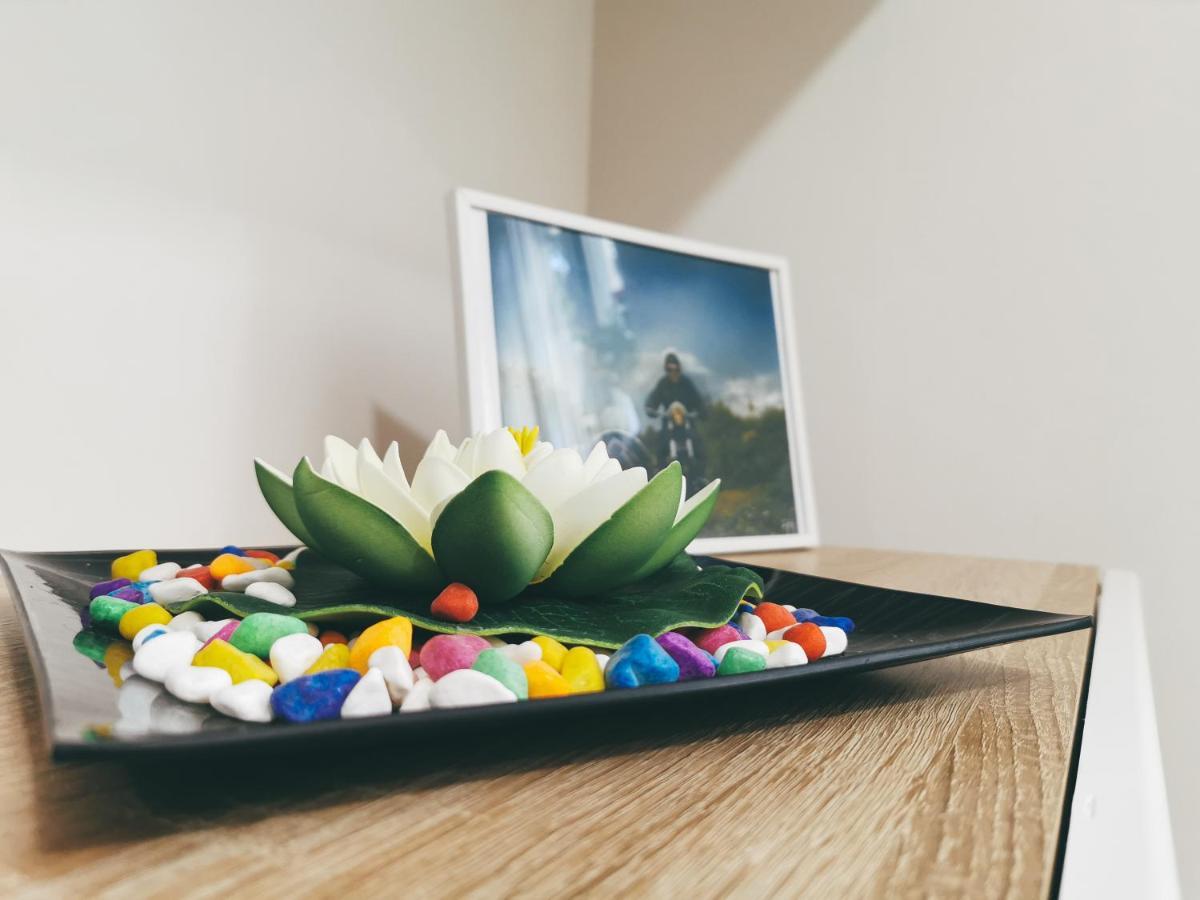 Ćuprija Cozy Corner Apartments - Free Parking & Wi-Fi מראה חיצוני תמונה